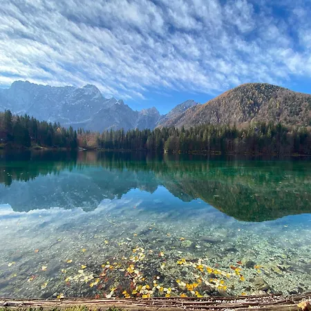 International Tarvisio